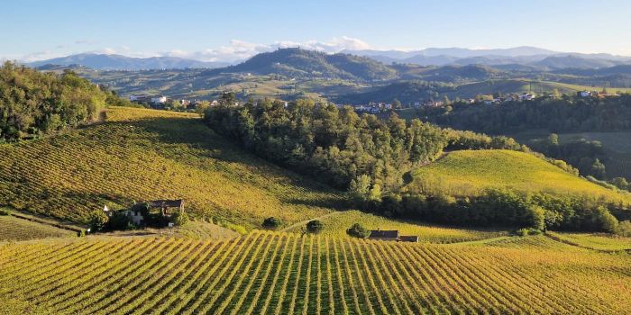 Oltrepò Pavese, la regione vinicola nascosta della Lombardia-Foto: Fabio Dealberti
