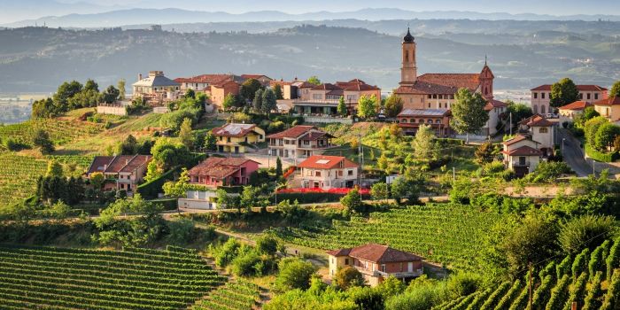 Top 10 best wineries in Piedmont: wines, experiences and flavors among hills, castles and vineyards