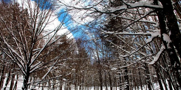 Where to ski in Calabria