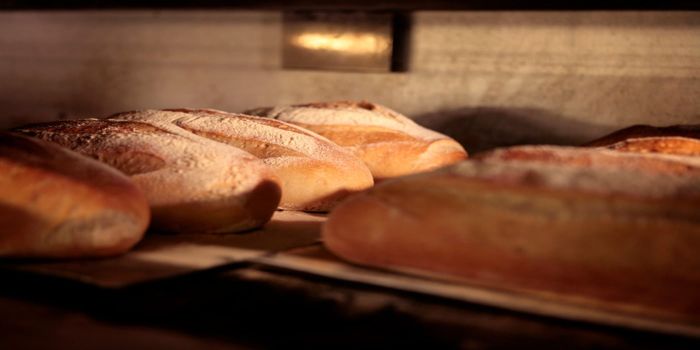 Discover the types of Italian bread in any region and their classic format