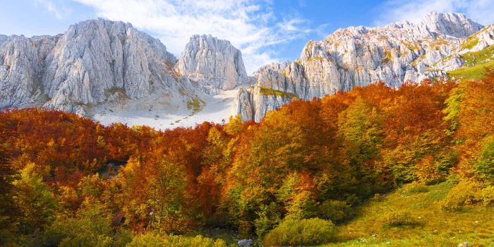 Dove vedere il foliage in Italia nel 2026
