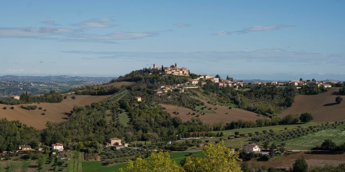 Falerone view