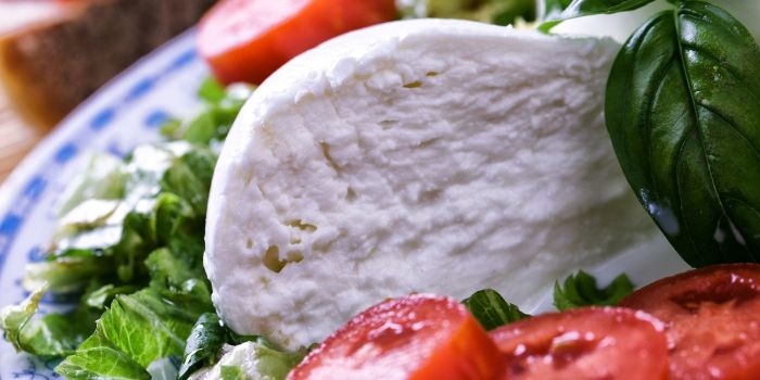 Mozzarella & Italian Cheese Experience: the Best Places where to taste them