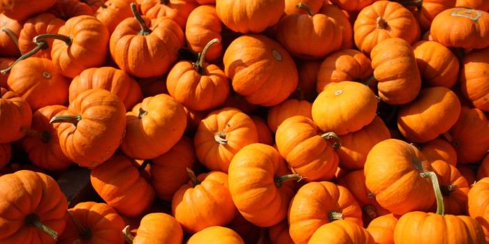 pumpkin-festivals-in-Italy