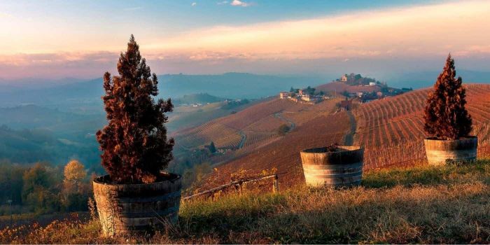 Scopri le sagre autunnali in Italia