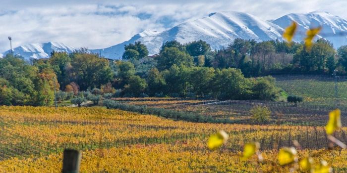  Alla scoperta dei 20 migliori Parchi Nazionali in Italia, regione per regione