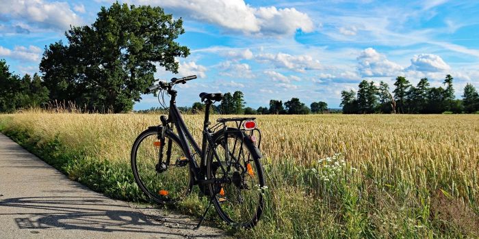 Bike tours in Tuscany