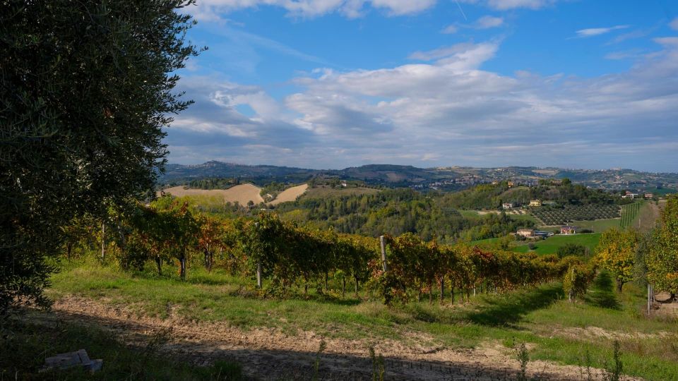 Visit Monte Giberto: un borgo tra arte, paesaggi e tradizioni 