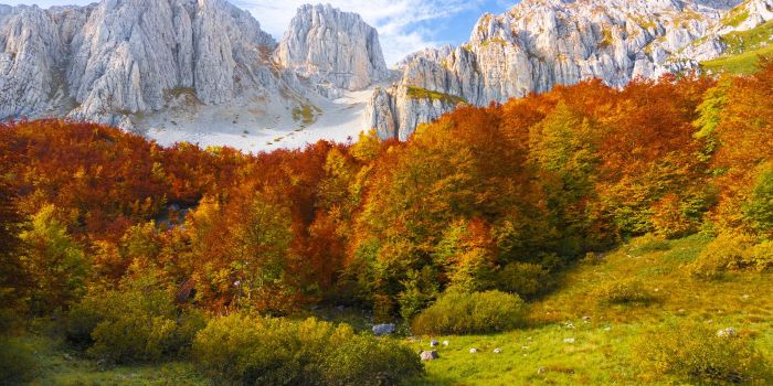 paesaggio italiano in autunno