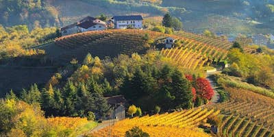 The 5 Best places where discover the Magic of Foliage in Italy