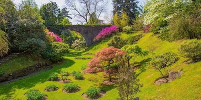 The 10 Most Beautiful Botanical Parks in Italy