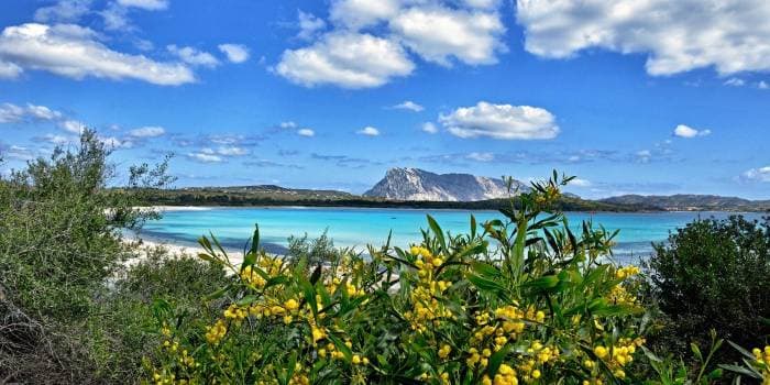 Primavera in Sardegna: cosa fare e vedere nell’isola dei nuraghi 