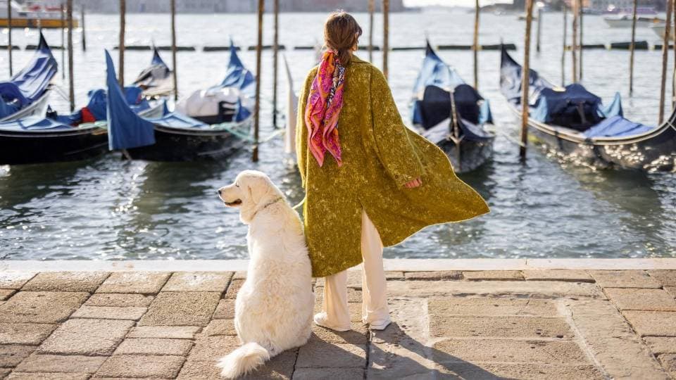 10 pet-friendly destinations in Italy