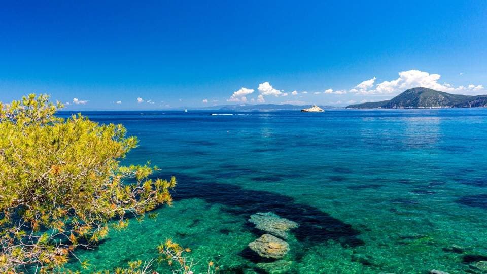 Scuba diving in Italy among the most scenic wrecks: tour from Elba to Sardinia