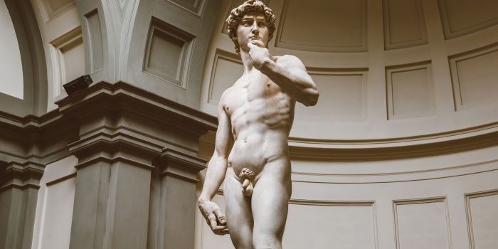 Biglietti e info galleria dell’Accademia di Firenze: il David di Michelangelo