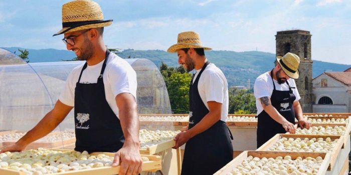 Santomiele Cilento white figs