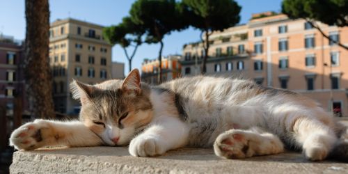 Perché Torre Argentina è una tappa obbligata per gli amanti dei gatti a Roma 