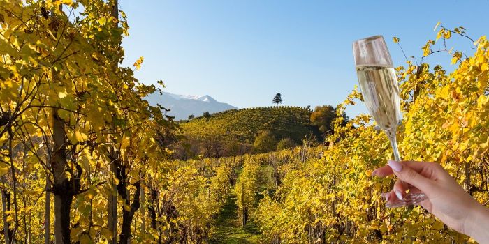  Panorama delle colline del Prosecco, patrimonio UNESCO, con vigneti e dolci pendii in Italia. I migliori posti dove dormire nelle Colline del Prosecco