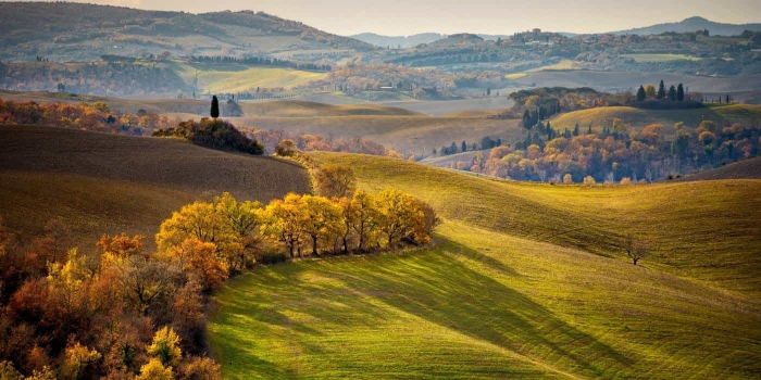 Where to see the foliage in Italy in 2025