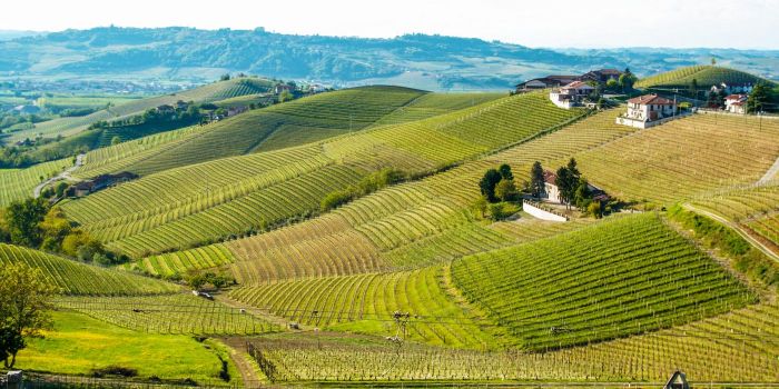 Dove dormire nelle Langhe, i 10 migliori hotel