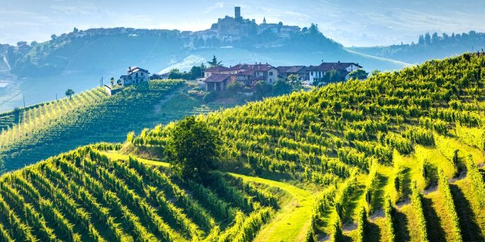Wine Tours in Italy: 8 experiences to discover finest Italian wines 