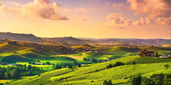 Cesare Pavese literary Tour: discover 5 places in Langhe and Turin