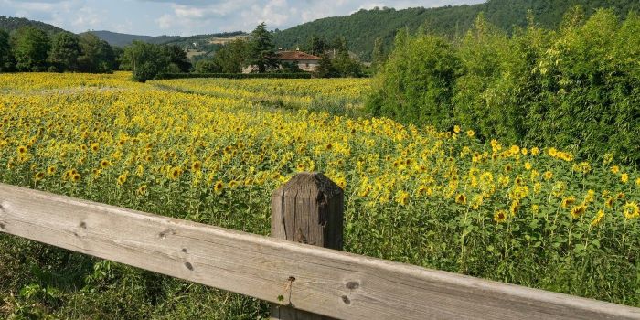 Tuscany road trip itinerary