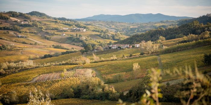 Autumn in Pavia, Lombardy 
