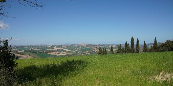 I dintorni di Torre San Patrizio