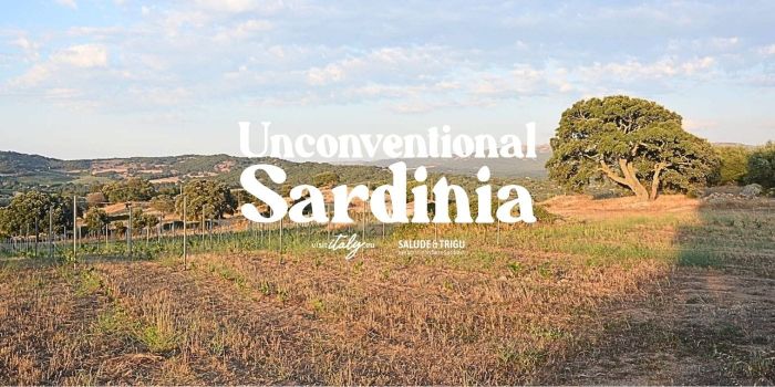 Itinerario Vino Sardegna