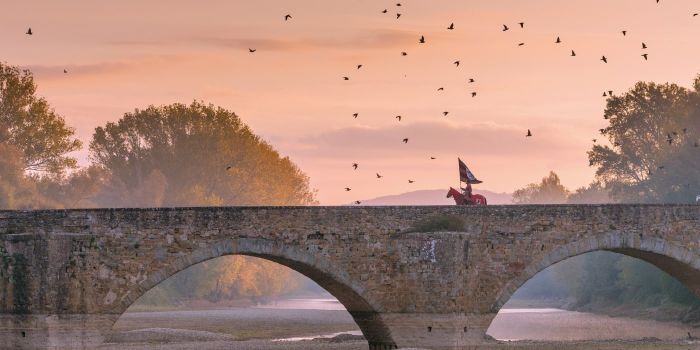 Scopri cosa vedere ad Arezzo, la città elegante