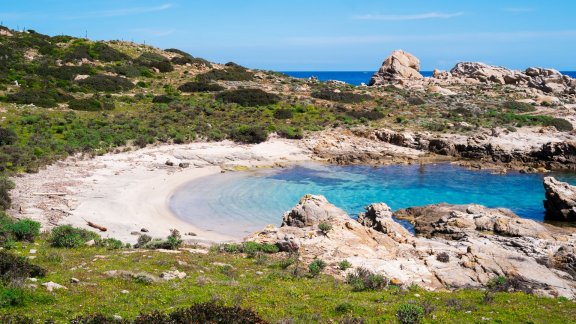 asinara island