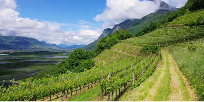 Luoghi imperdibili in Trentino