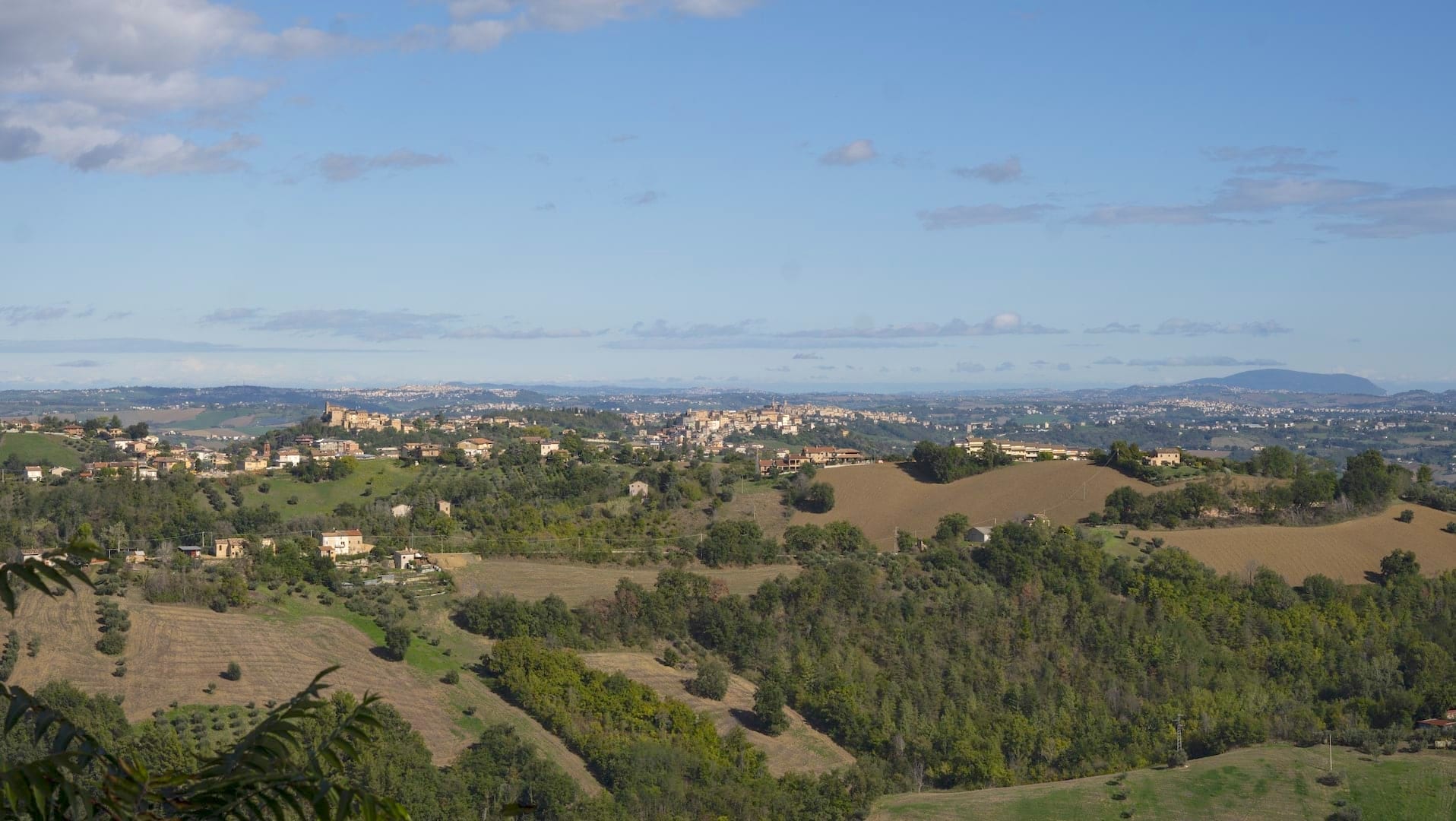 Vista delle colline da Falerone