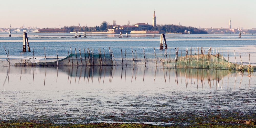 Poveglia, Venice's island Poveglia, Venice's island