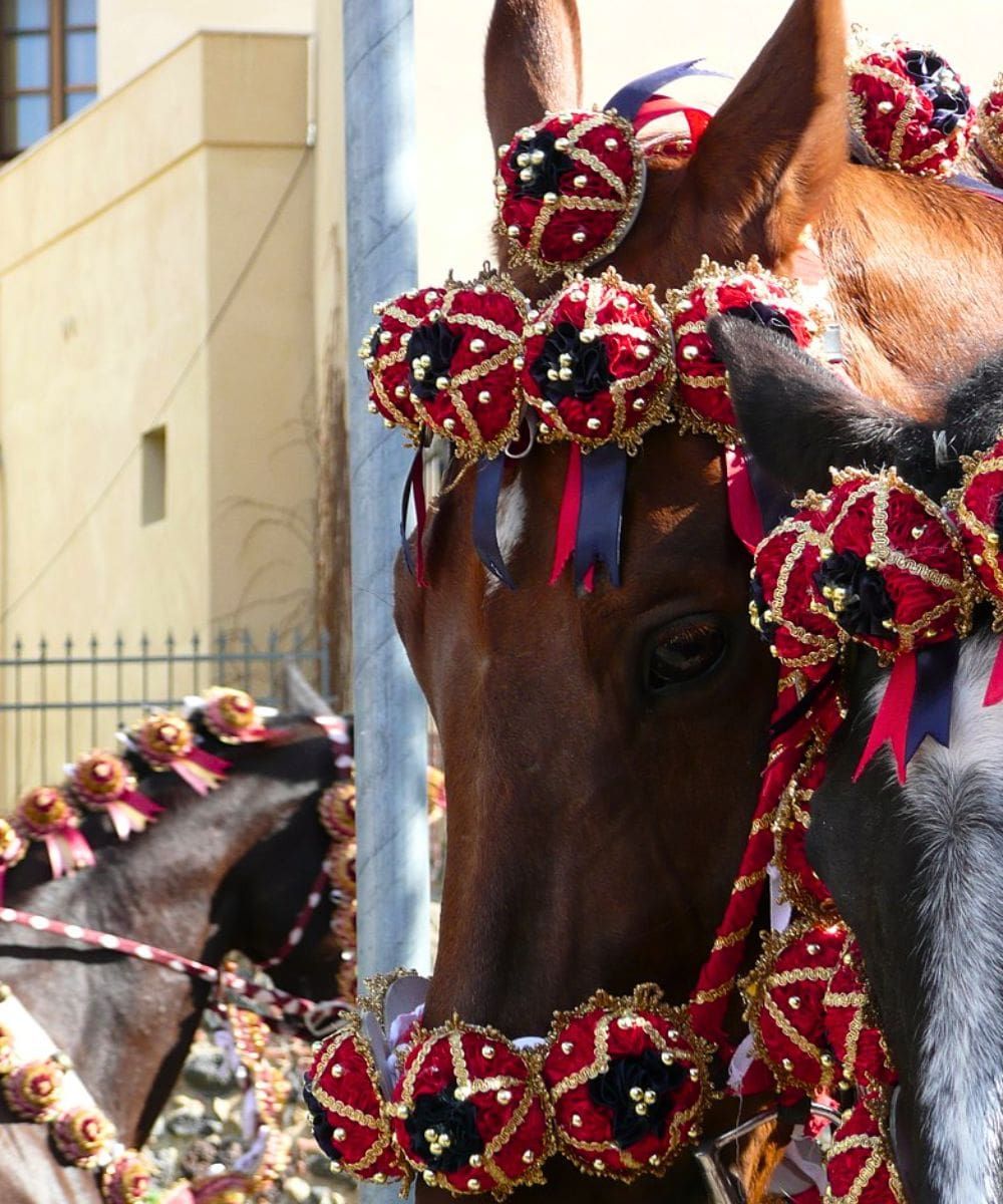 S’Ischiglia, Sa Pariglia in Bonorva, Sassari