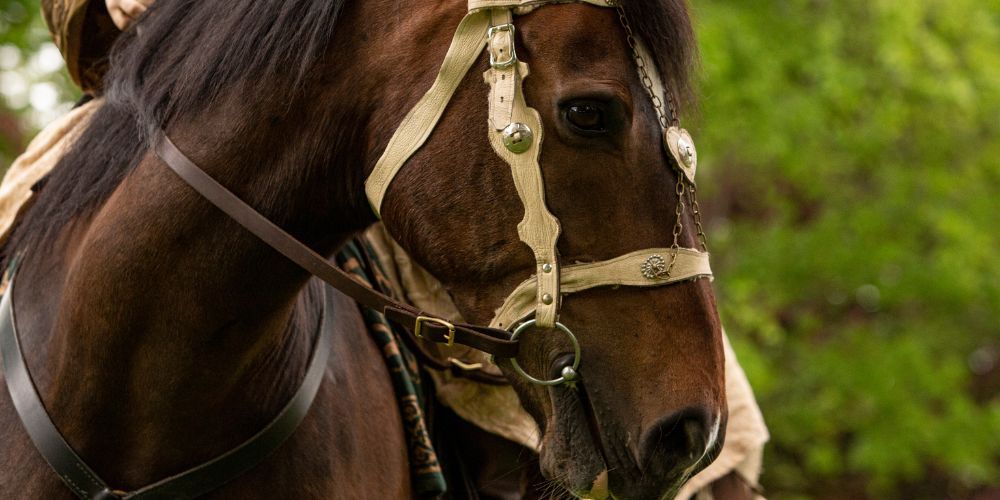 Sanluri, rievocazioni storiche italiane