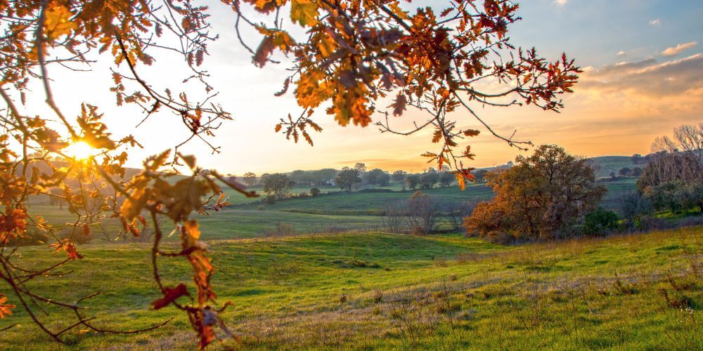 4. Agricampeggio Podere Mulinaccio (Parco della Maremma) 4. Agricampeggio Podere Mulinaccio (Parco della Maremma)