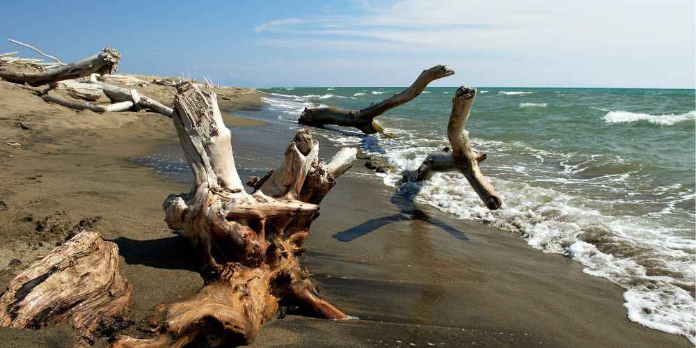 5. Cala Violina (Scarlino – Grosseto, Maremma) 5. Cala Violina (Scarlino – Grosseto, Maremma)
