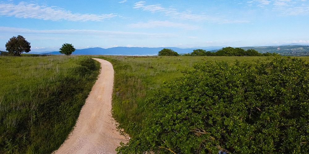 10 motivi per visitare Todi: scenari idilliaci nella campagna