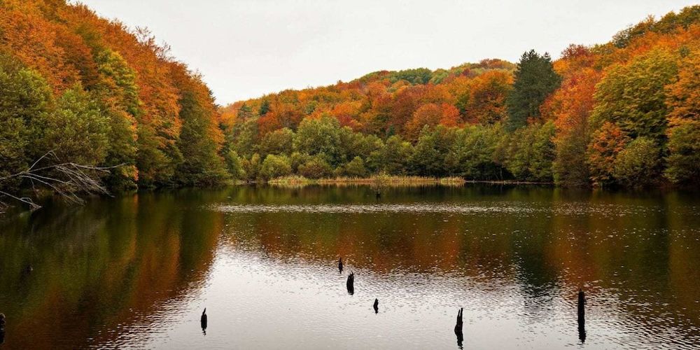 Come raggiungere il Parco delle Serre in primavera