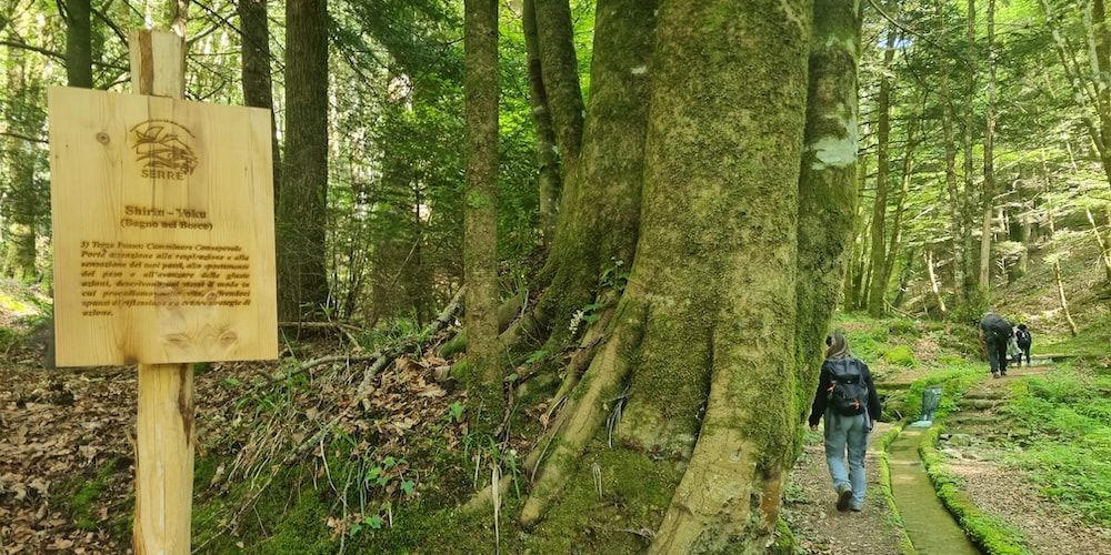 Parco delle Serre in primavera, consigli per la visita