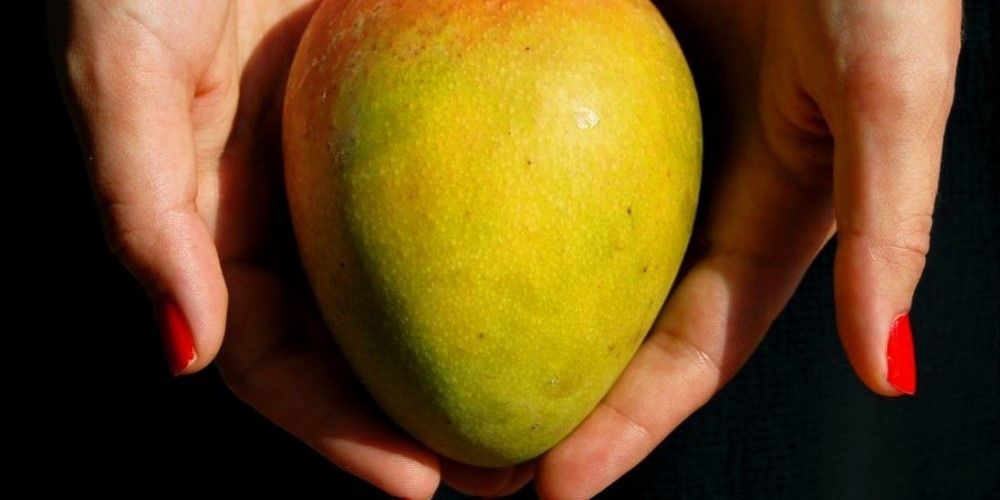 Una donna tiene un mango tra le mani Una donna tiene un mango tra le mani