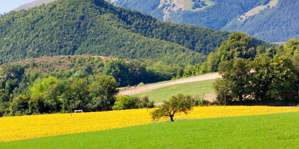 Wellness destinations in Italy: Sarnano and Sibillini, Marche