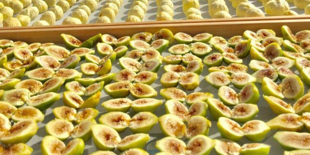 Cilento Gastronomy Experience