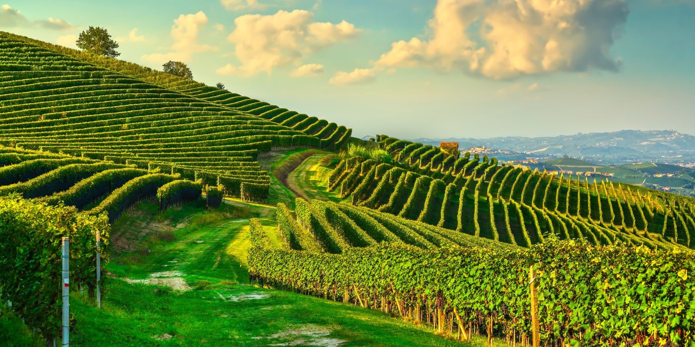 Regioni Vinicole Italiane Regioni Vinicole Italiane