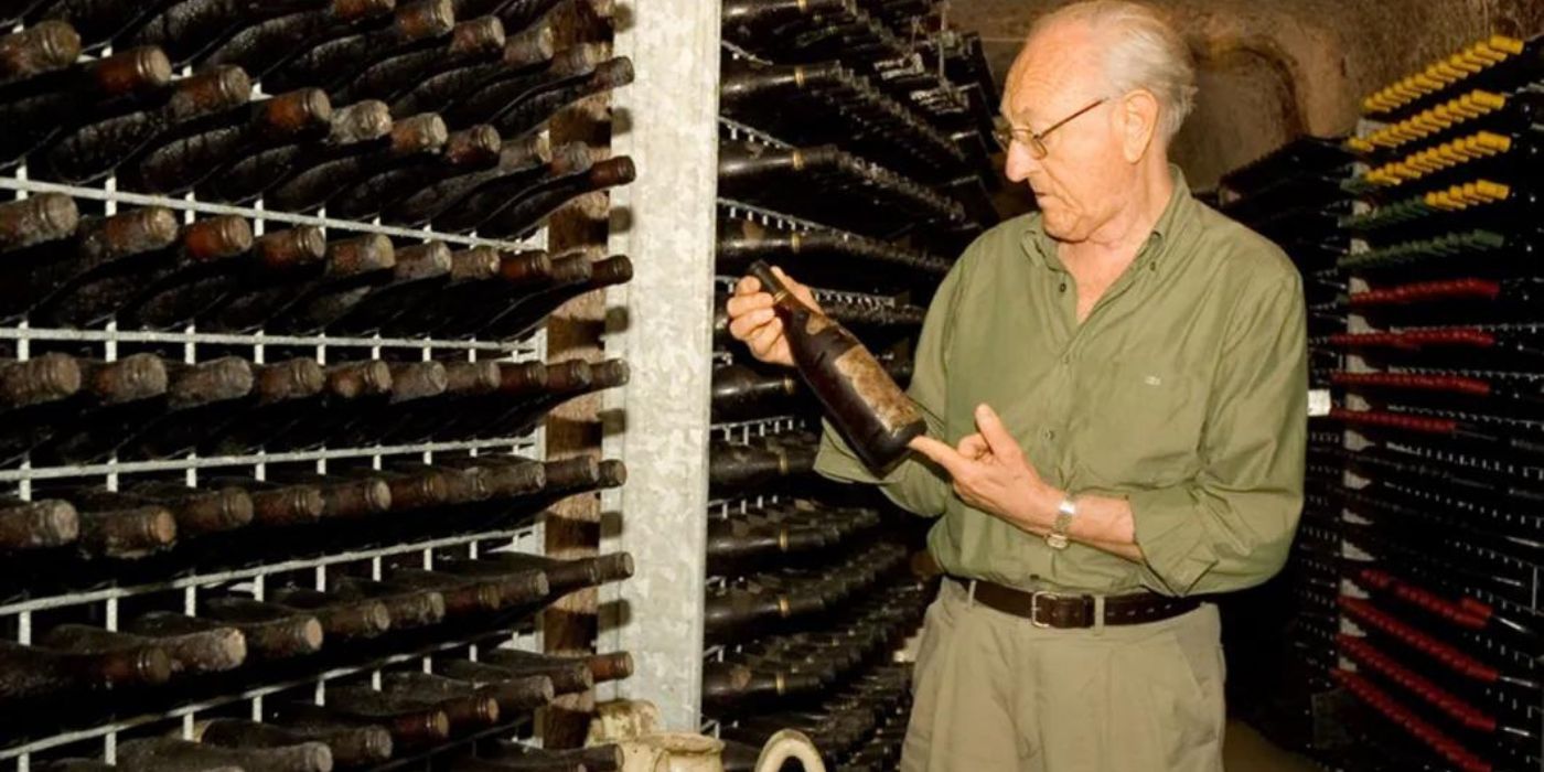 Vini rossi italiani, suggerimenti Vini rossi italiani, suggerimenti