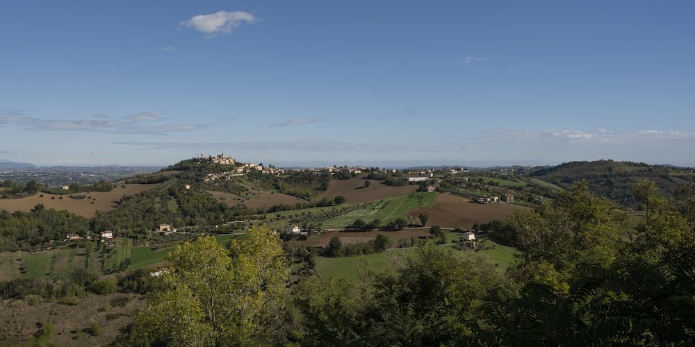 Falerone e lo scenario delle colline marchigiane