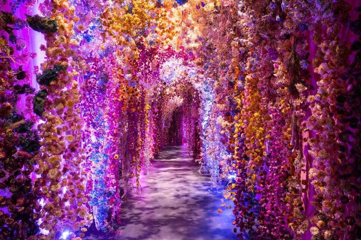 Mostra 'Flowers' a Roma, corridoio floreale di Rebecca e Louse Law Mostra 'Flowers' a Roma, corridoio floreale di Rebecca e Louse Law