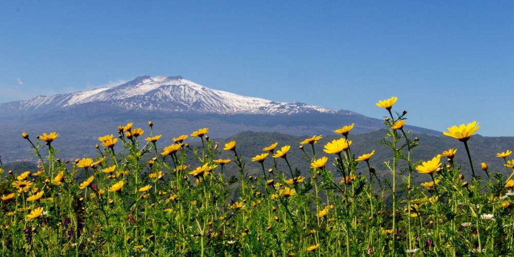 Mount Etna luxury travel: spring landscape of Mount Etna with wildflowers